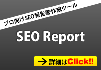 SEO Report